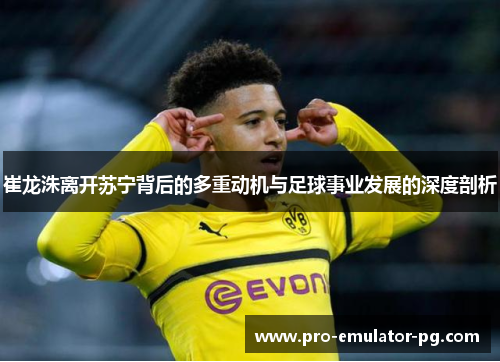 崔龙洙离开苏宁背后的多重动机与足球事业发展的深度剖析