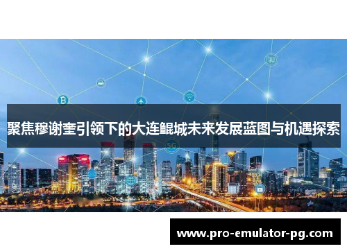 聚焦穆谢奎引领下的大连鲲城未来发展蓝图与机遇探索