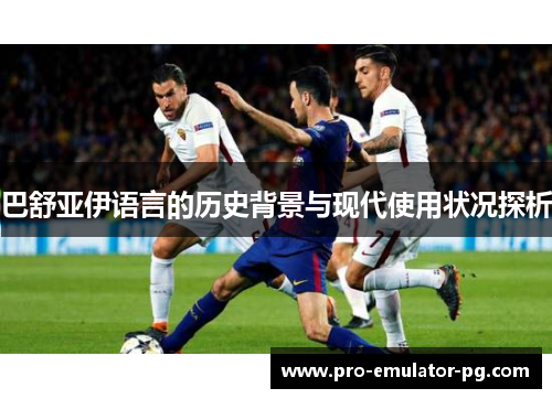 巴舒亚伊语言的历史背景与现代使用状况探析