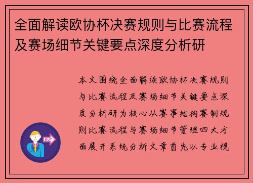 全面解读欧协杯决赛规则与比赛流程及赛场细节关键要点深度分析研