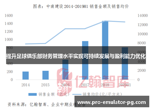 提升足球俱乐部财务管理水平实现可持续发展与盈利能力优化