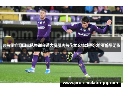 弗拉霍维奇国家队集训突遭大腿肌肉拉伤尤文锋线塞尔维亚前景阴影