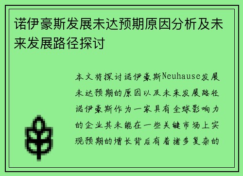诺伊豪斯发展未达预期原因分析及未来发展路径探讨